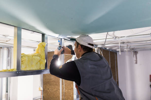 Best Insulation Maintenance and Repair in Bright, IN